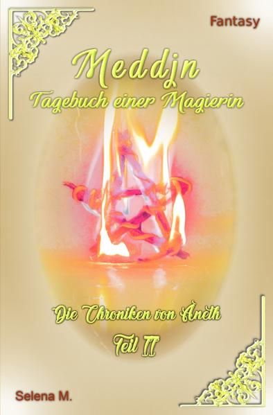 Produktbild: Die Chroniken von Aneth / Meddjn - Tagebuch einer Magierin
