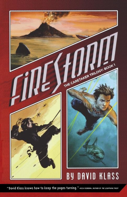 Bild vom Artikel Firestorm vom Autor David Klass