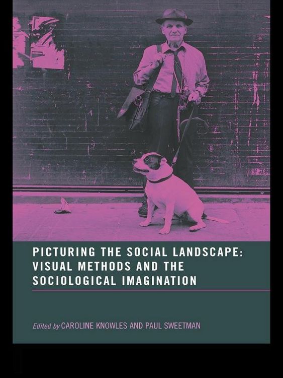 Produktbild: Picturing the Social Landscape