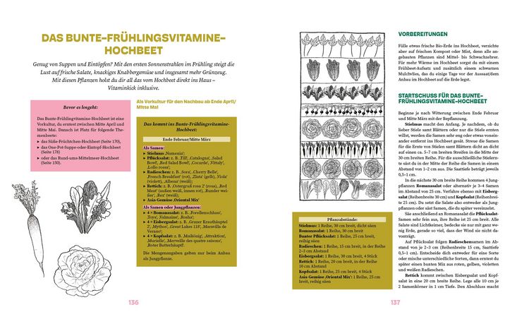 Produktbild: Das gro&szlig;e Hochbeet-Buch