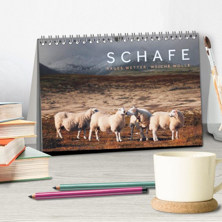 Produktbild: Schafe - Raues Wetter, weiche Wolle (Tischkalender 2026 DIN A5 quer), CALVENDO Monatskalender