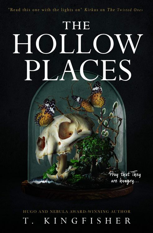 Produktbild: The Hollow Places