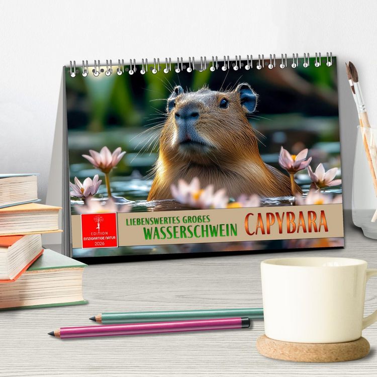 Produktbild: Capybara - liebenswertes gro&szlig;es Wasserschwein (Tischkalender 2026 DIN A5 quer), CALVENDO Monatskalender