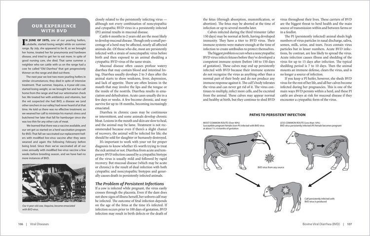 Produktbild: The Cattle Health Handbook