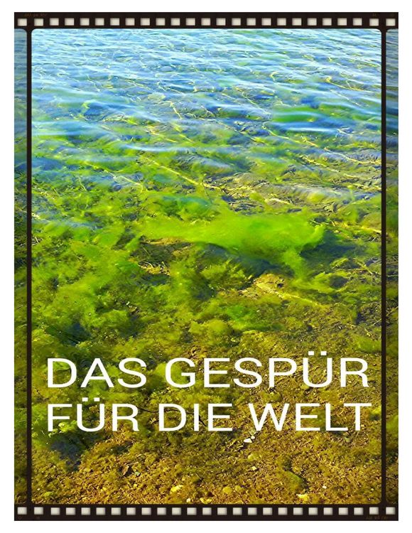 Produktbild: Das Gesp&uuml;r f&uuml;r die Welt
