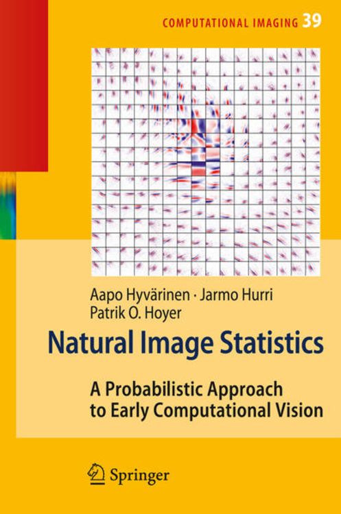 Produktbild: Natural Image Statistics