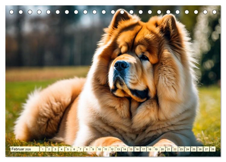 Produktbild: Chow Chow - der L&ouml;wenkopfhund (Tischkalender 2026 DIN A5 quer), CALVENDO Monatskalender
