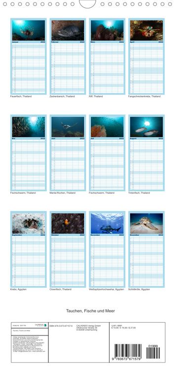 Produktbild: Tauchen, Fische und Meer - Familienplaner hoch (Wandkalender 2022 , 21 cm x 45 cm, hoch)