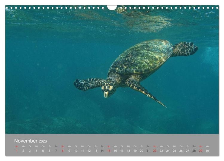 Produktbild: Seychellen (Wandkalender 2026 DIN A3 quer), CALVENDO Monatskalender
