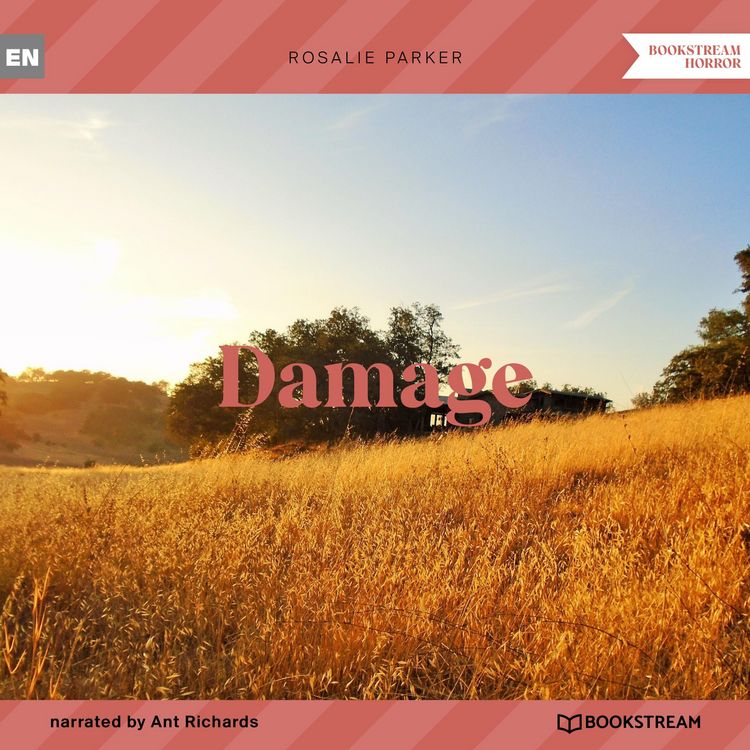 Produktbild: Damage
