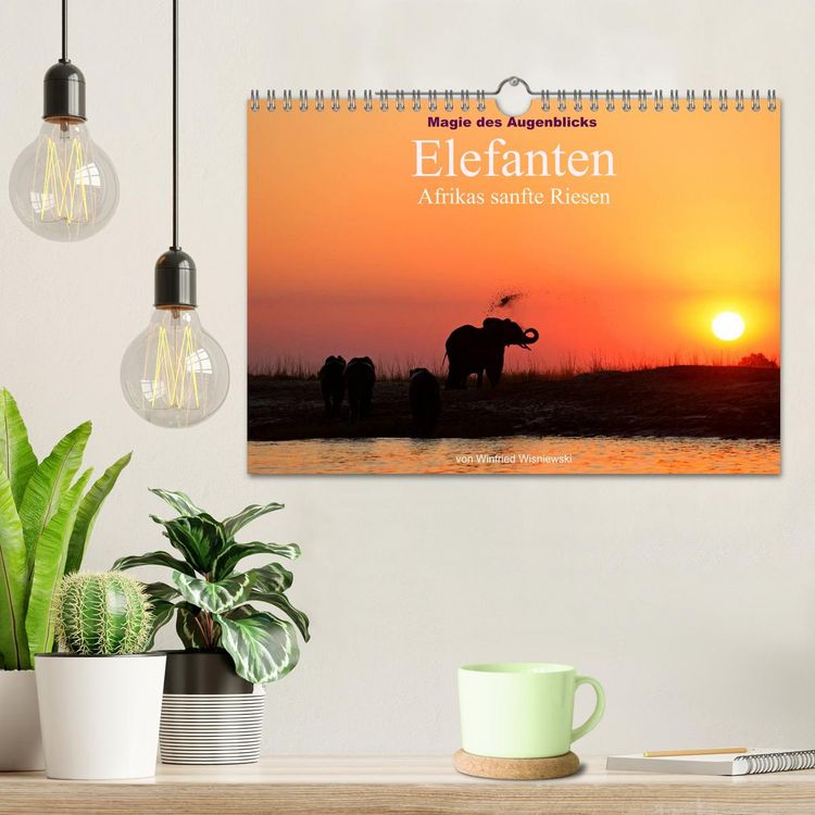 Produktbild: Magie des Augenblicks - Elefanten - Afrikas sanfte Riesen (Wandkalender 2026 DIN A4 quer), CALVENDO Monatskalender