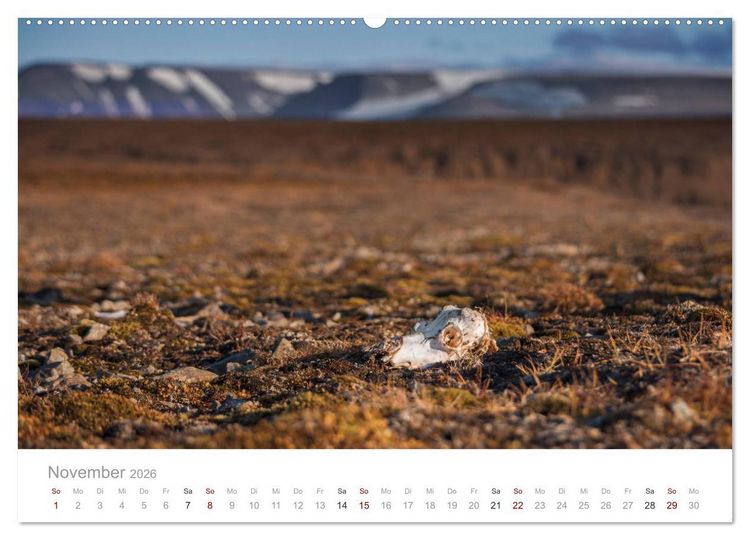 Produktbild: Spitzbergen - Wild.Rau.Ungez&auml;hmt. (Wandkalender 2026 DIN A2 quer), CALVENDO Monatskalender