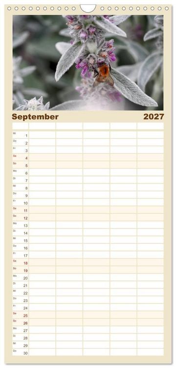 Produktbild: Familienplaner 2027 - Hummelflug mit 5 Spalten (Wandkalender, 21 x 45 cm) CALVENDO