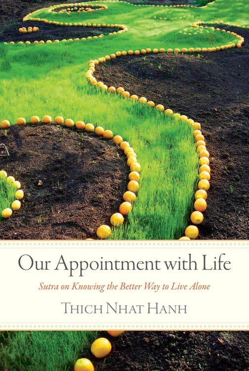 Produktbild: Our Appointment with Life