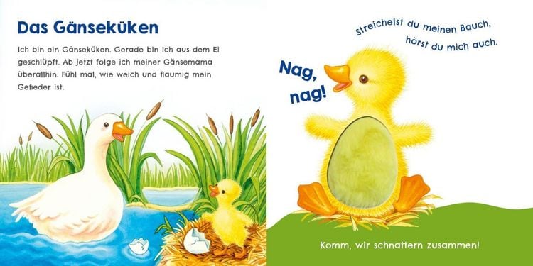 Produktbild: H&ouml;r mal, wie ich schnattern kann (Mein erstes Streichel-Soundbuch 1)