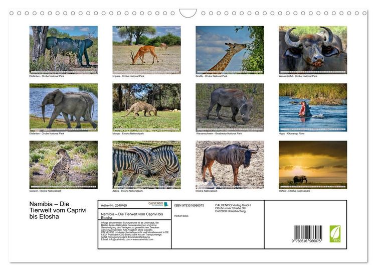 Produktbild: Namibia &ndash; Die Tierwelt vom Caprivi bis Etosha (Wandkalender 2027 DIN A3 quer), CALVENDO Monatskalender