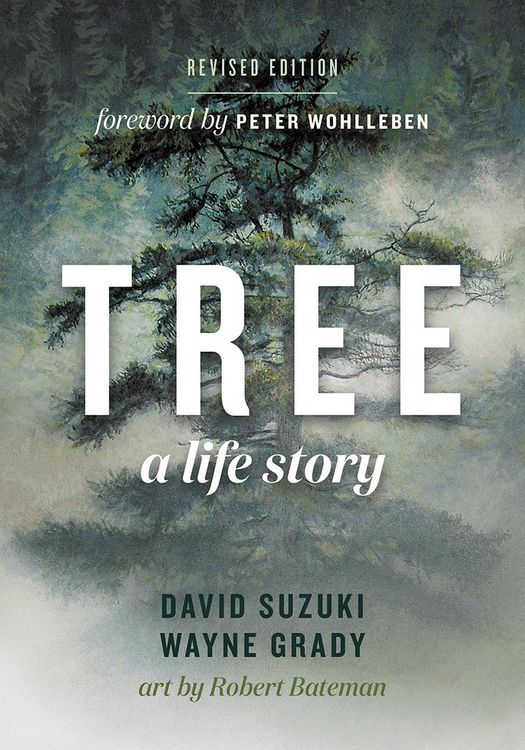 Produktbild: Tree