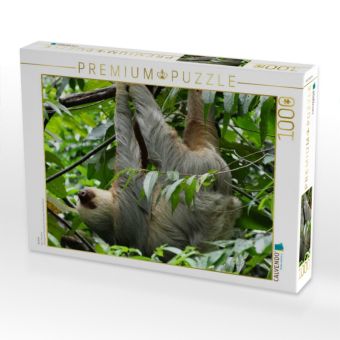 Produktbild: Faultier (Puzzle)