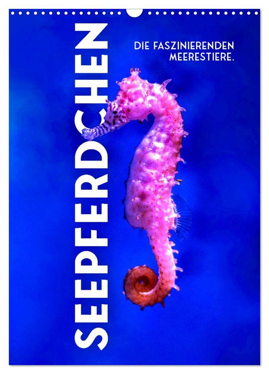 Produktbild: Seepferdchen - Die faszinierende Meerestiere. (Wandkalender 2026 DIN A3 hoch), CALVENDO Monatskalender