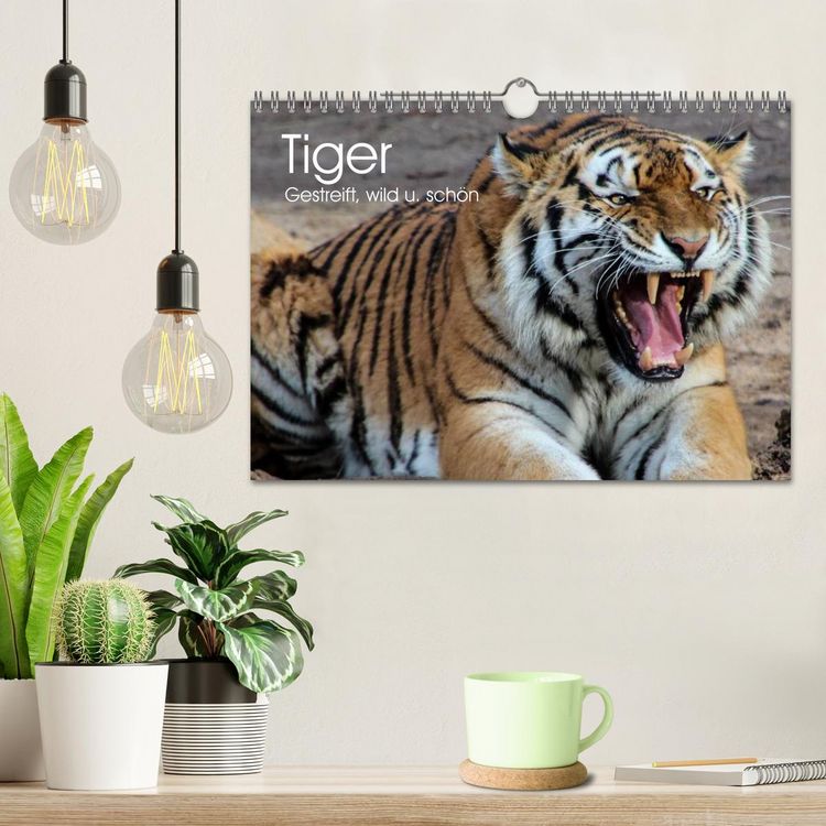Produktbild: Tiger. Gestreift, wild u. sch&ouml;n (Wandkalender 2026 DIN A4 quer), CALVENDO Monatskalender