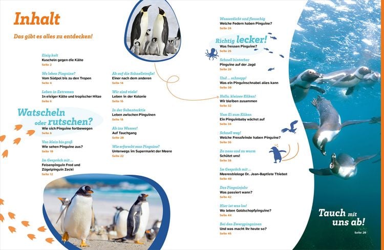 Produktbild: WAS IST WAS Pinguine. Immer cool drauf