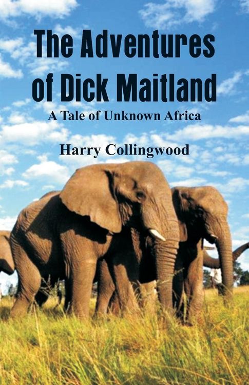 Produktbild: The Adventures of Dick Maitland A Tale of Unknown Africa
