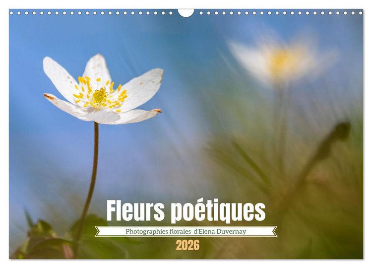Produktbild: Fleurs po&eacute;tiques (Calendrier mural 2026 DIN A3 vertical), CALVENDO calendrier mensuel