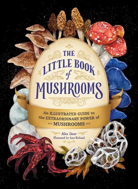 Produktbild: The Little Book of Mushrooms