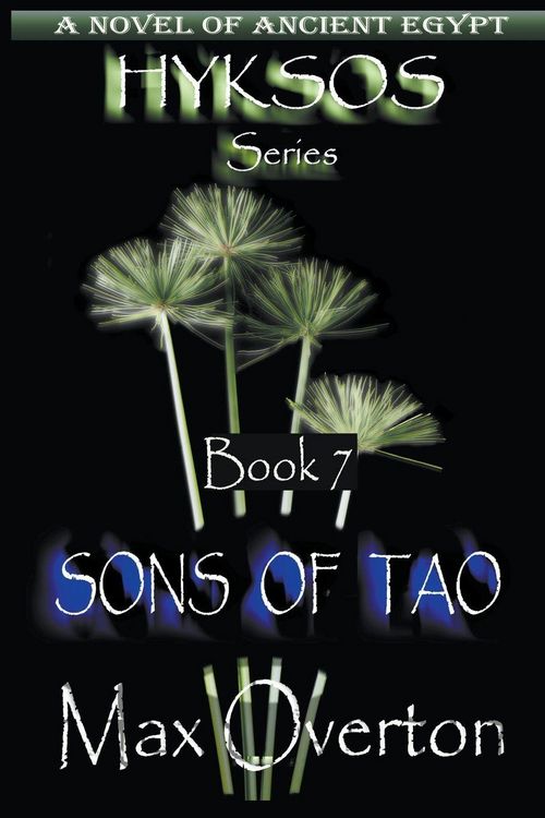 Produktbild: Sons of Tao