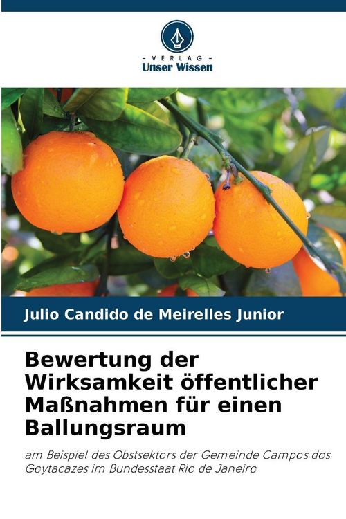 Produktbild: Bewertung der Wirksamkeit &ouml;ffentlicher Ma&szlig;nahmen f&uuml;r einen Ballungsraum