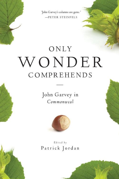 Produktbild: Only Wonder Comprehends