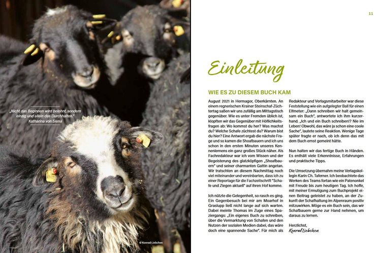 Produktbild: Alles vom Schaf!