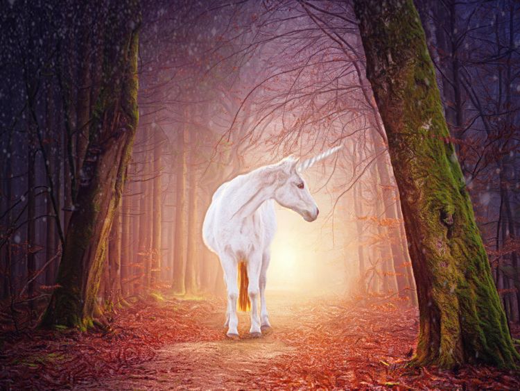 Produktbild: CALVENDO Puzzle Mein Einhorn | 1000 Teile Lege-Gr&ouml;&szlig;e 64x48cm Foto-Puzzle f&uuml;r gl&uuml;ckliche Stunden