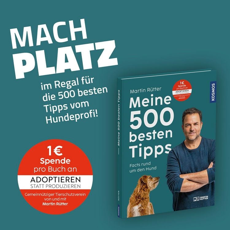 Produktbild: Meine 500 besten Tipps