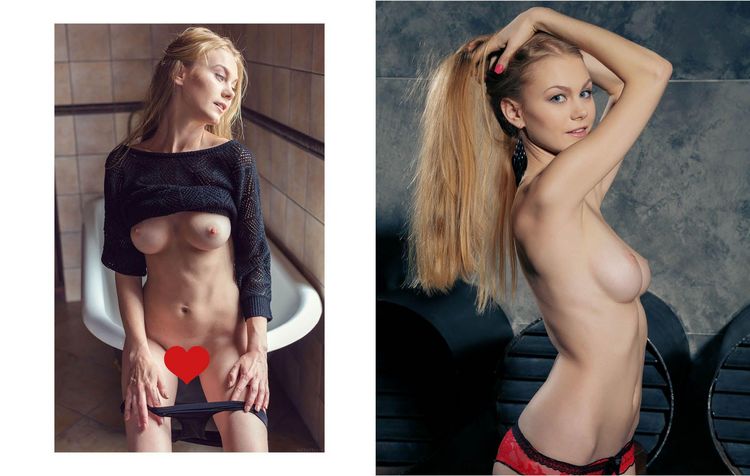 Sochli semiz mushuklar fotosuratlari