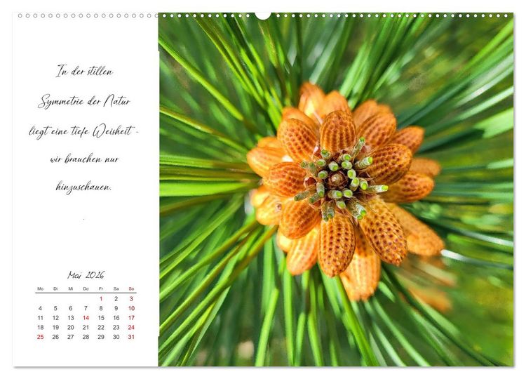 Produktbild: Der Atem der Stille - Achtsame Augenblicke in der Natur (Wandkalender 2026 DIN A2 quer), CALVENDO Monatskalender