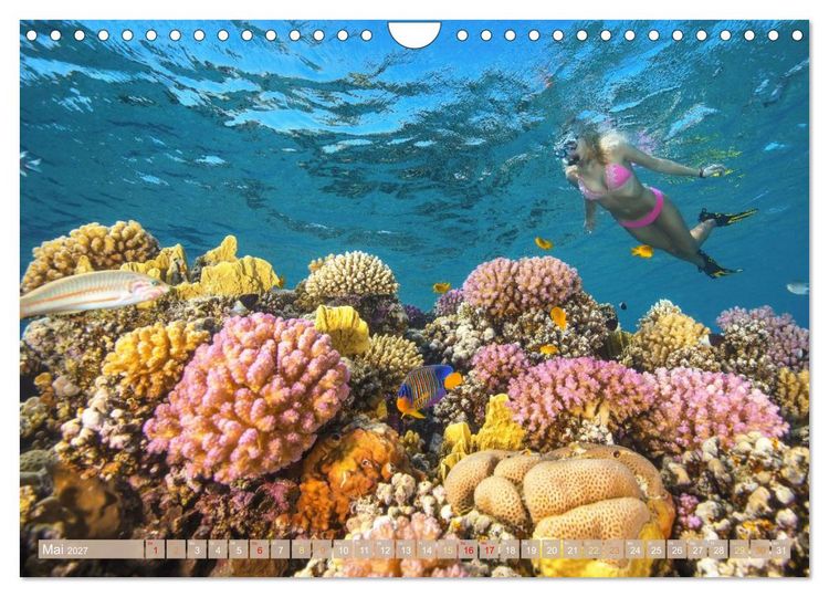 Produktbild: Reif f&uuml;r die Insel: Fernweh & Traumziele (Wandkalender 2027 DIN A4 quer), CALVENDO Monatskalender