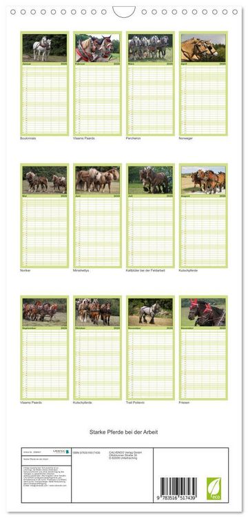 Produktbild: Familienplaner 2026 - Starke Pferde bei der Arbeit mit 5 Spalten (Wandkalender, 21 x 45 cm) CALVENDO