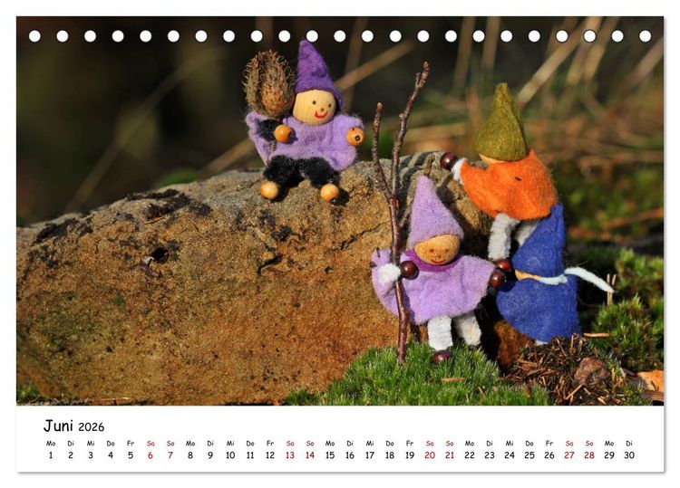 Produktbild: Die Abenteuer der vier kleinen Wichtel (Tischkalender 2026 DIN A5 quer), CALVENDO Monatskalender