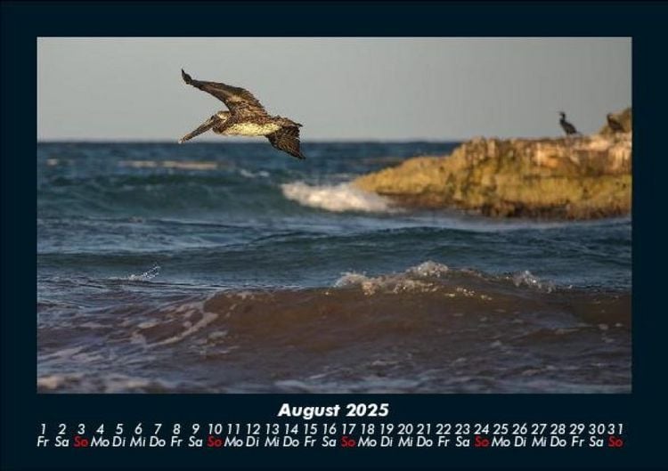 Produktbild: Meereslandschaft 2025 Fotokalender DIN A5