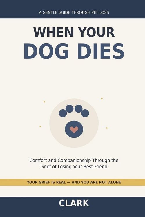 Produktbild: When Your Dog Dies