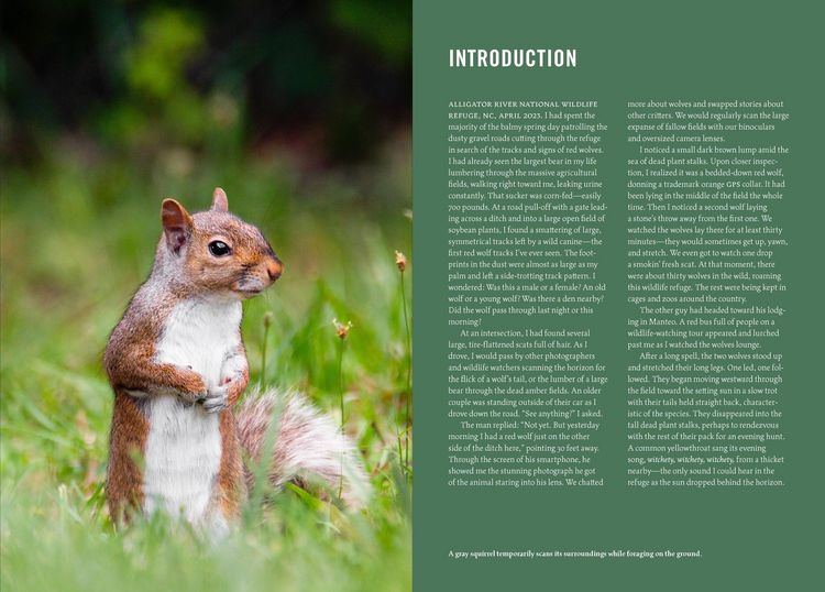 Produktbild: Wildlife of the Southeast