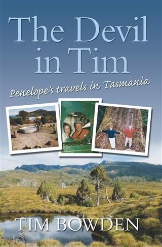 Produktbild: Devil in Tim
