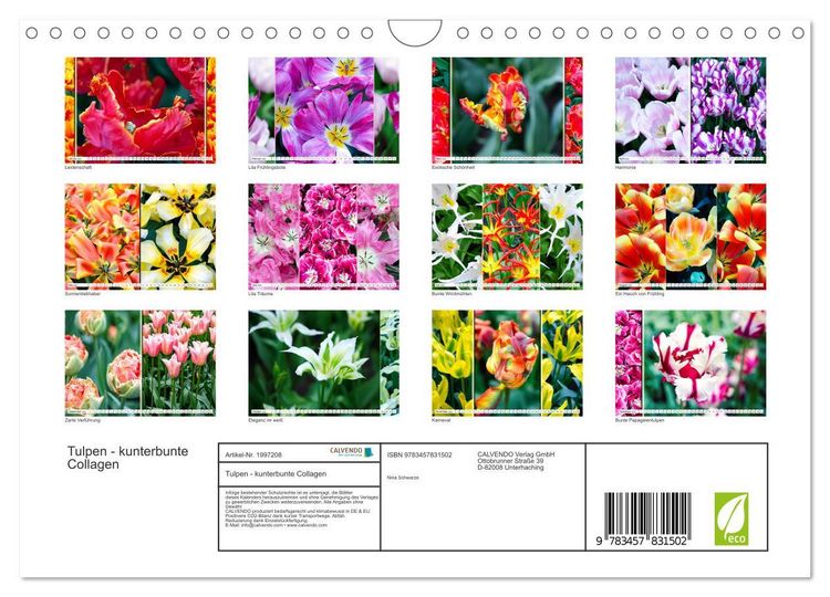 Produktbild: Tulpen - kunterbunte Collagen (Wandkalender 2026 DIN A4 quer), CALVENDO Monatskalender