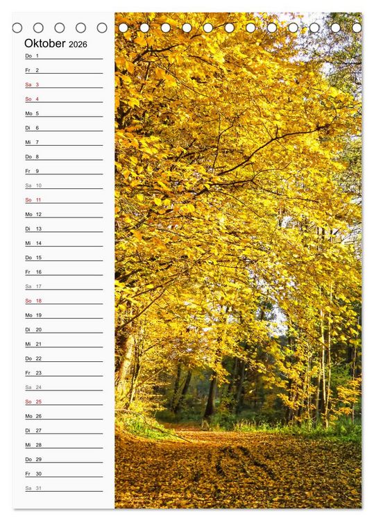 Produktbild: Nieste, Kleinod am Kaufunger Wald (Tischkalender 2026 DIN A5 hoch), CALVENDO Monatskalender