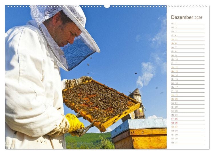 Produktbild: S&uuml;&szlig;es Gold: Imker, Bienen & Honig (hochwertiger Premium Wandkalender 2026 DIN A2 quer), Kunstdruck in Hochglanz