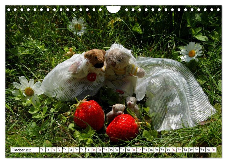 Produktbild: Die Hochzeitsb&auml;rchen (Wandkalender 2026 DIN A4 quer), CALVENDO Monatskalender