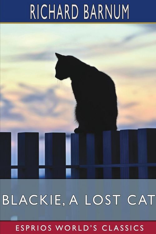 Produktbild: Blackie, a Lost Cat