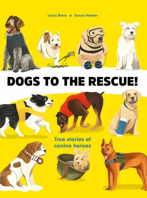 Produktbild: Dogs to the Rescue