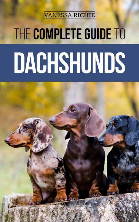 Produktbild: The Complete Guide to Dachshunds: Finding, Feeding, Training, Caring For, Socializing, and Loving Your New Dachshund Puppy